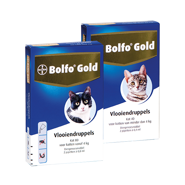 Bolfo