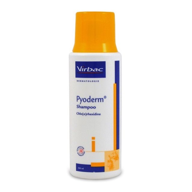 Pyoderm