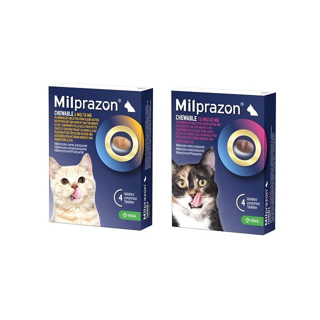 Milprazon Chewable