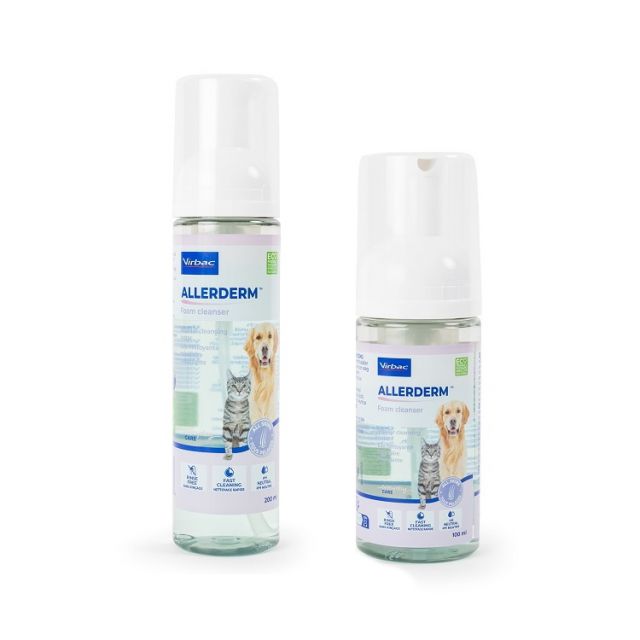 Allerderm Foam