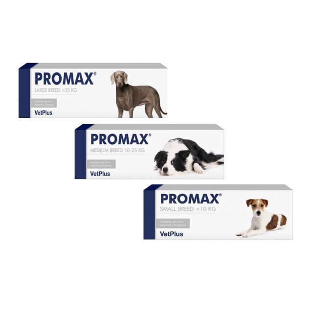 Promax Hond