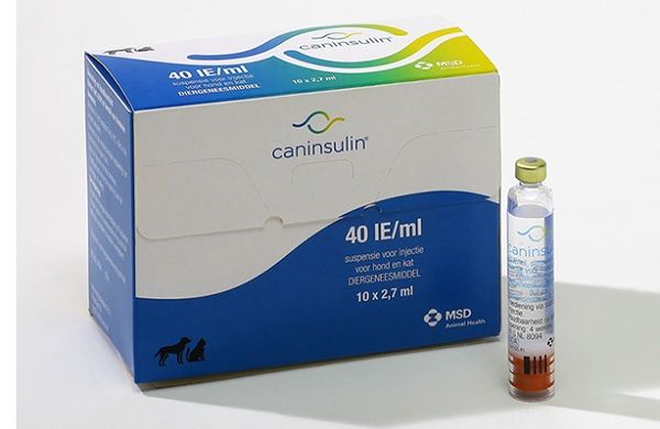 tynd Illustrer bro Vetpen Caninsulin insulinepatroon 10x2,7 ml