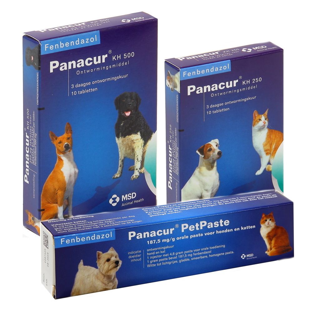 Geestig Toeval schoorsteen Panacur hond en kat | Giardia hond | Giardia kat