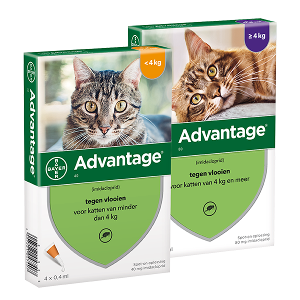 Dom Zoeken Peregrination Advantage kat | Vlooiendruppels voor katten