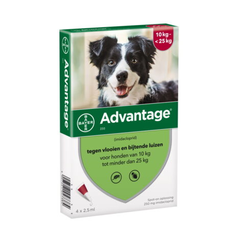 Advantage 250 hond 10-25 kg 4x2,5 ml pipetten