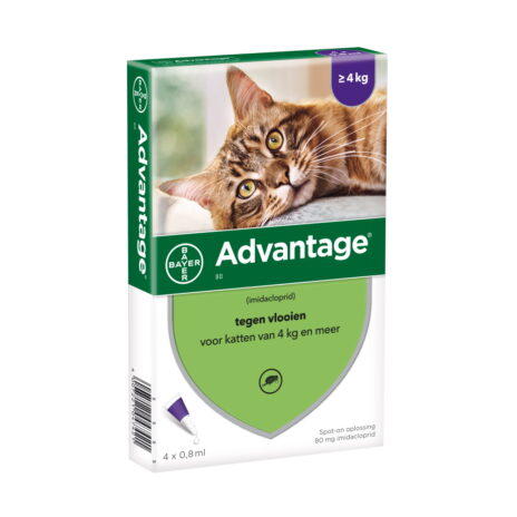 Advantage 80 kat 4-8 kg 4x0,8ml pipetten