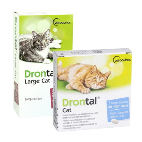 Drontal kat