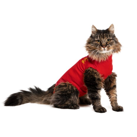 Medical Pet Shirt kat S