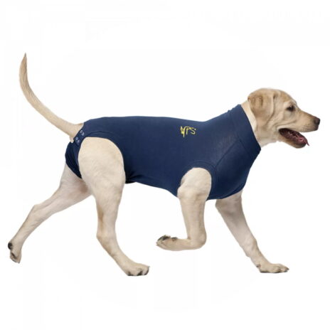Medical Pet Shirt hond XL