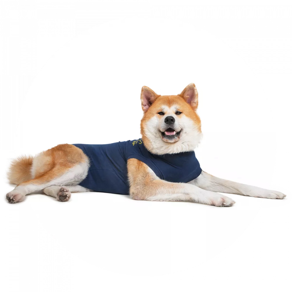 Medical Pet Shirt