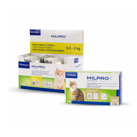Milpro kat