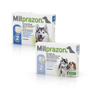 Milprazon hond