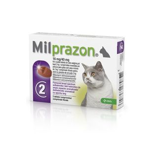 Milprazon grote kat | 16 mg/40 mg | 2 tabletten