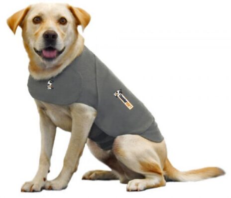 Thundershirt hond large