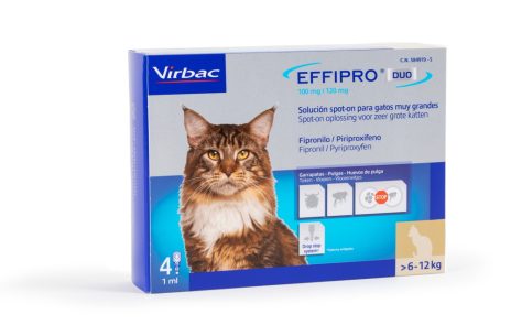 Effipro Duo Spot-On Kat > 6 kg | 4 Pipetten