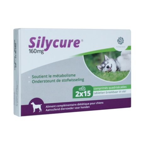 Silycure | Hond 2 x 15 tabletten 160 mg