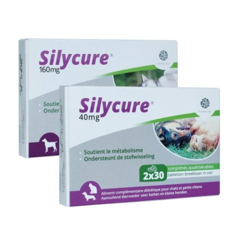 Silycure | Hond & Kat