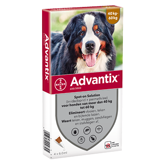 Advantix 600/3000 hond >40kg 4 pipetten