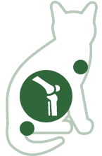 Gewrichten