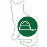 Kattenvoer