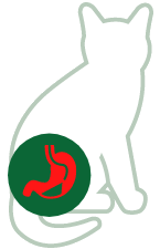 Blaasontsteking