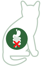 Obstipatie