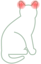 Oorontsteking