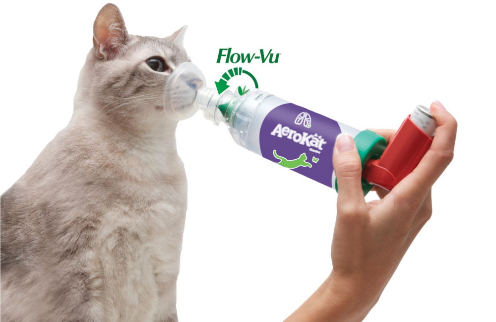 AeroKat