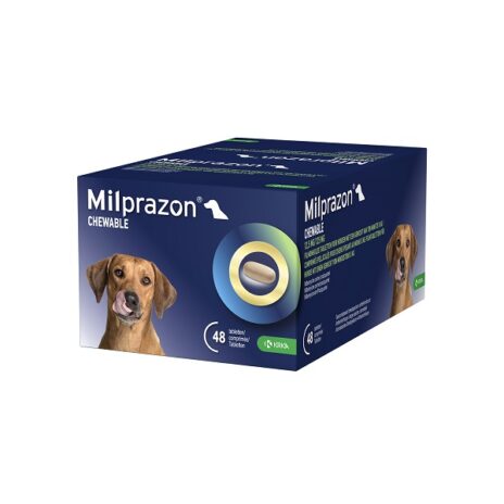 Milprazon Chewable 12,5mg/125mg | Grote hond | 48 tabletten