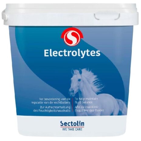 Sectolin Electrolytes | 500 gram