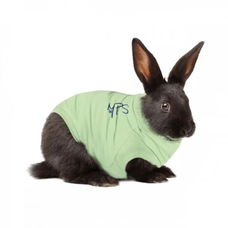 Medical Pet Shirt Konijn L