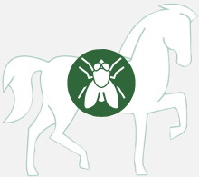 Vliegen | Teken | Insecten