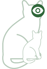 Ogen