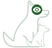 Ogen