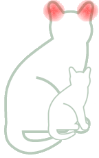 Oren