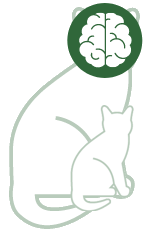 Zenuwstelsel