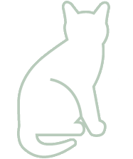 Kattenrassen